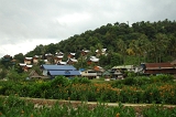 Koh phi phi